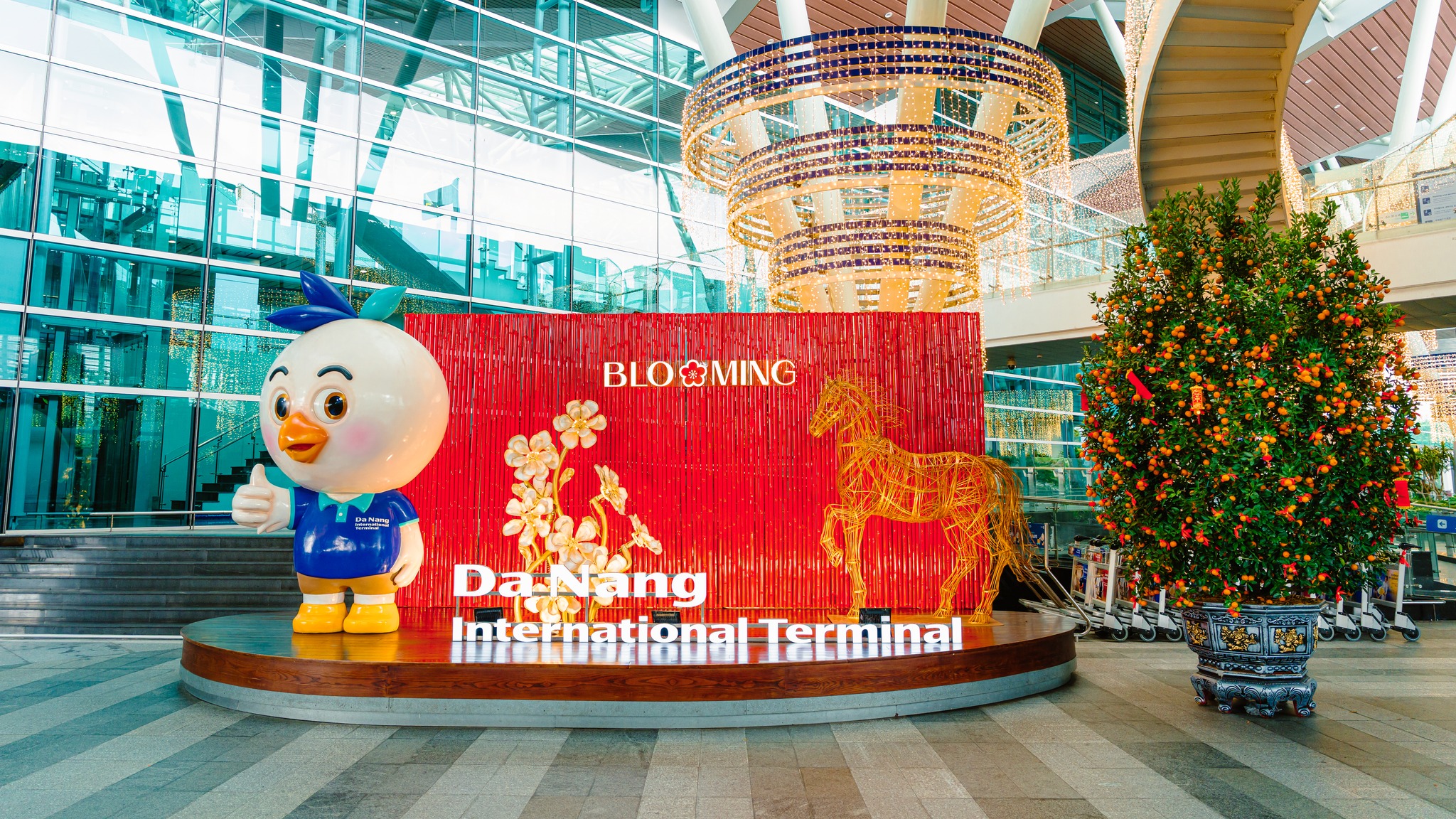 Ảnh Blooming - Embrace spring in every step